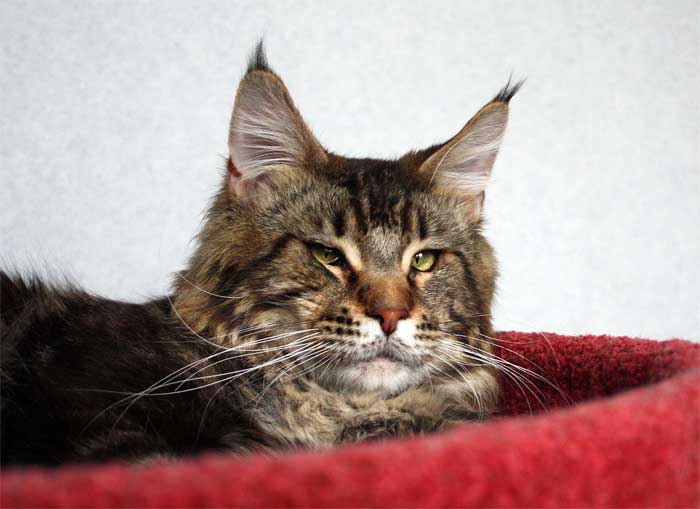 ��� ���� ��� �������  �� ���������  ����� ���� ��� ������  ����������